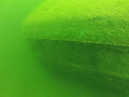 Płotki - Lipiec 2014