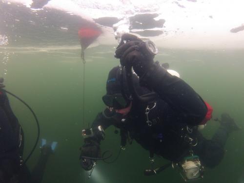 Nurkowanie podlodowe