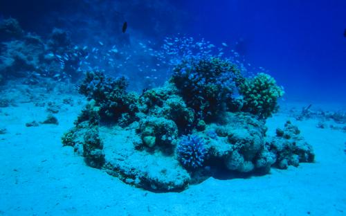 Wyprawa MARSA ALAM 2017