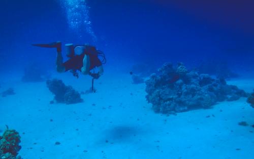Wyprawa MARSA ALAM 2017